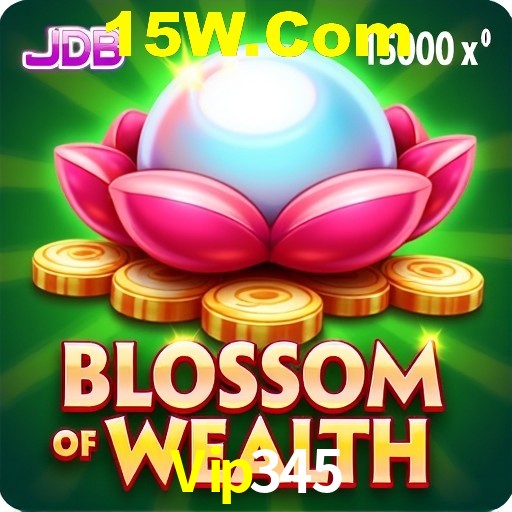 Casino VIP Vip345